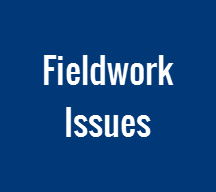 Fieldwork Issues