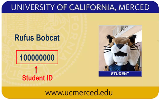 Student ID - CatCard Ex.